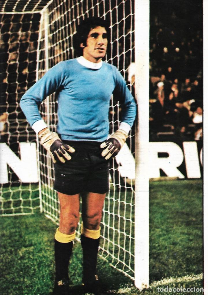 Collectionnisme sportif: UNI&Oacute;N DEPORTIVA LAS PALMAS: P&oacute;ster de CARNEVALI. 1975