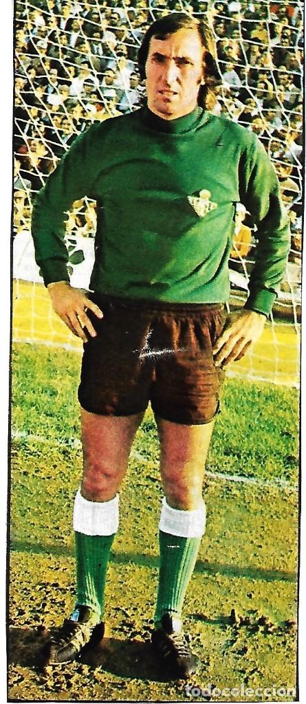 Collectionnisme sportif: REAL BETIS BALOMPI&Eacute;: Recorte de ESNAOLA. 1974