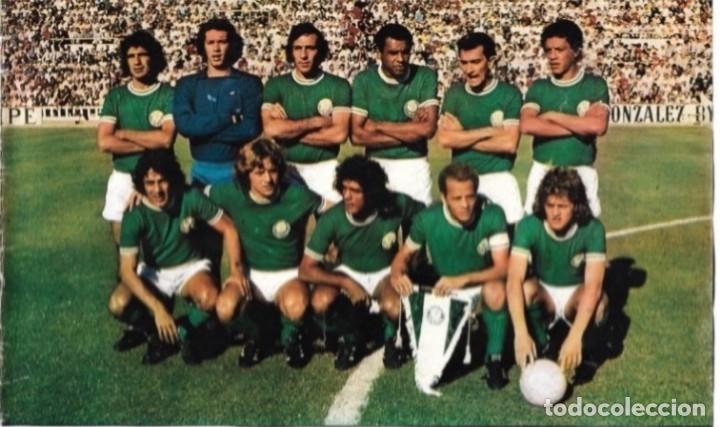 Collezionismo sportivo: PALMEIRAS ( BRASIL ): Gran recorte de un equipo de 1974, en el Trofeo Carranza