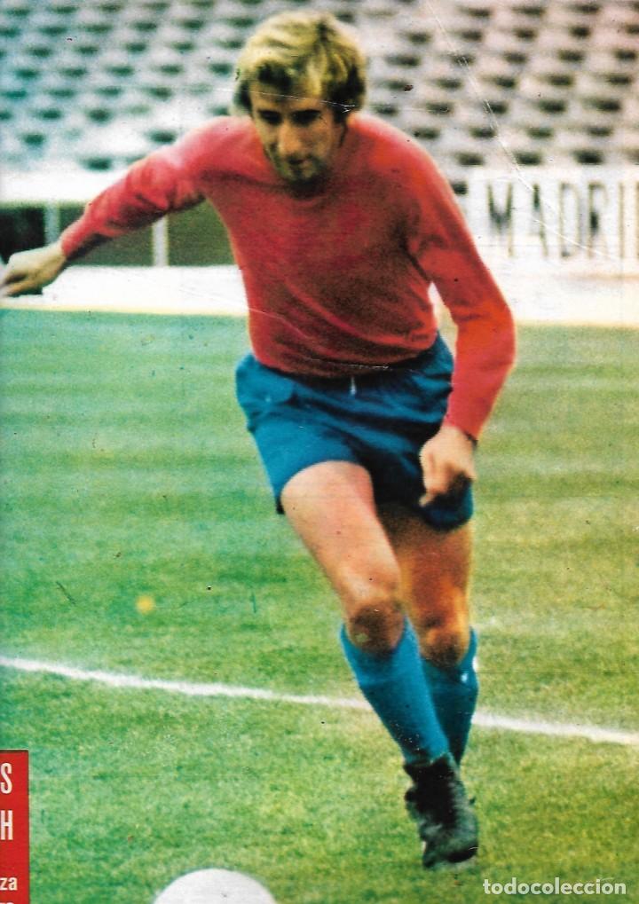 Collezionismo sportivo: SELECCI&Oacute;N ESPA&Ntilde;OLA DE F&Uacute;TBOL: P&oacute;ster de Charly REXACH.1975