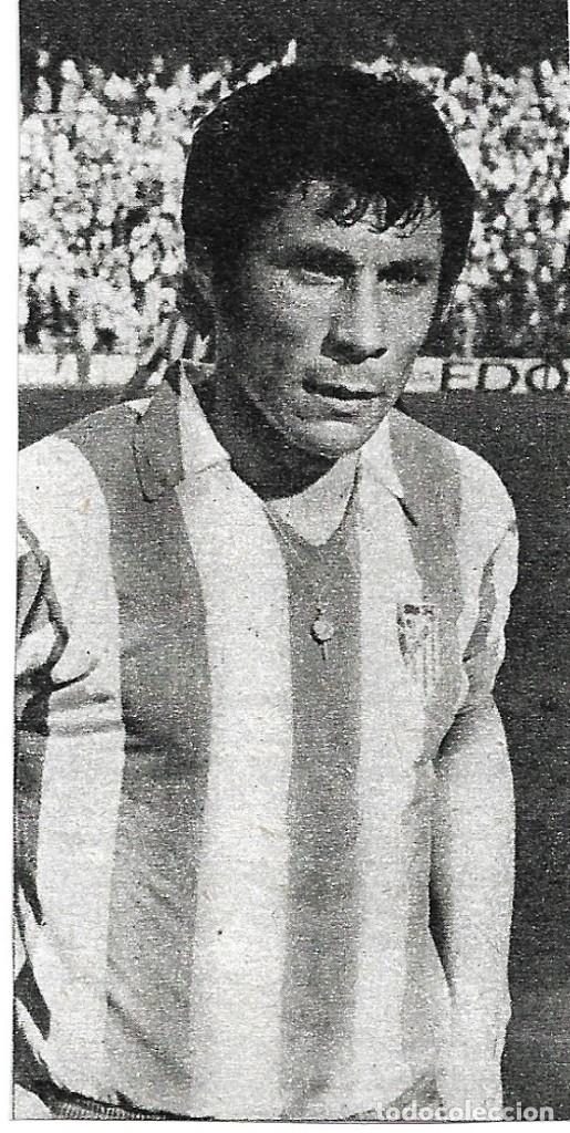 Sammelleidenschaft Sport: ATL&Eacute;TICO DE MADRID: Recorte de BAENA. 1975