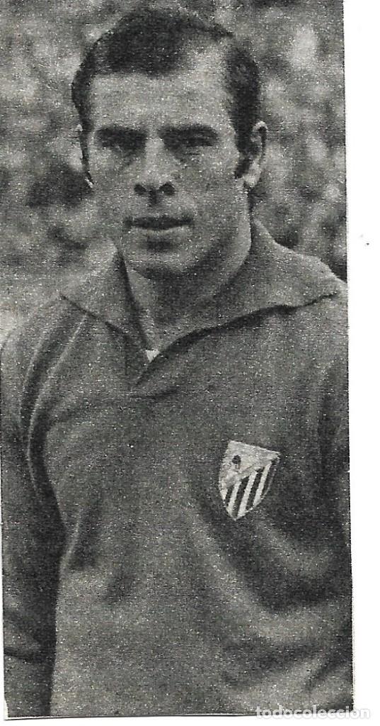 Collezionismo sportivo: ATL&Eacute;TICO DE MADRID: Recorte de REINA. 1976