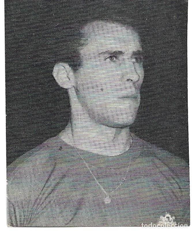 Coleccionismo deportivo: SELECCI&Oacute;N ESPA&Ntilde;OLA DE F&Uacute;TBOL: Recorte de AMANCIO