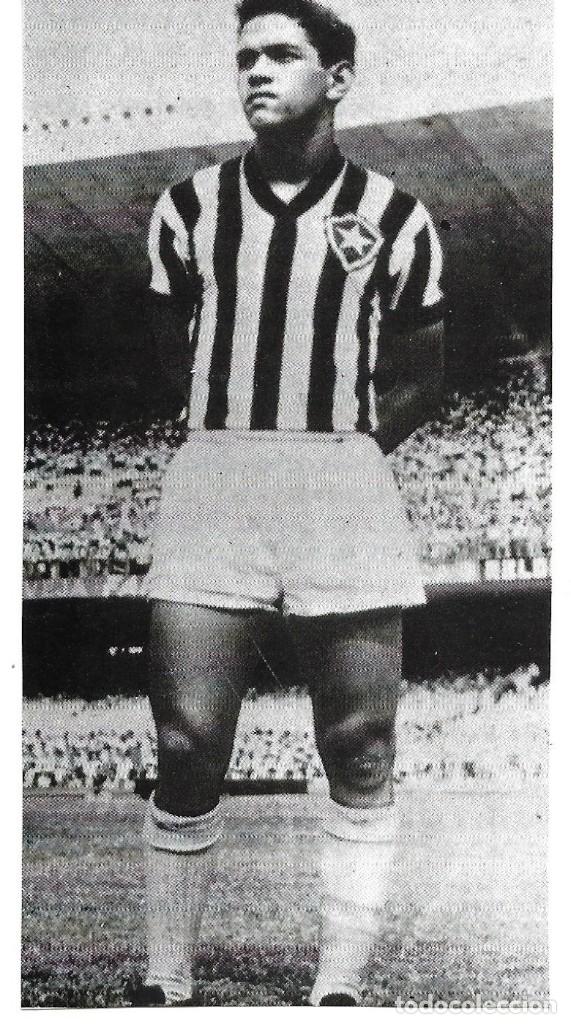 Coleccionismo deportivo: BOTAFOGO ( BRASIL ): Recorte de GARRINCHA