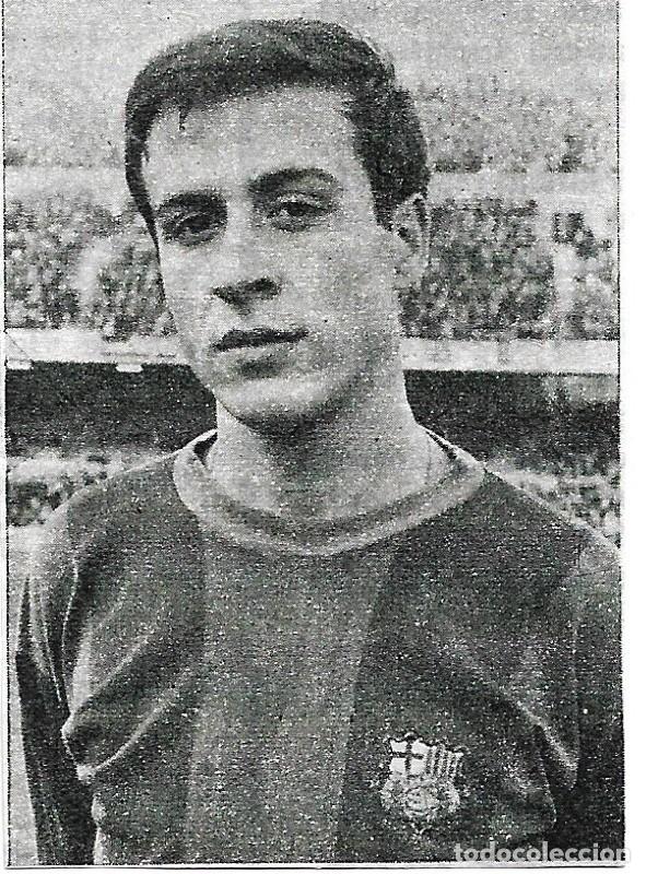 Collezionismo sportivo: BAR&Ccedil;A: Recorte de Llu&iacute;s PUJOL. 1966
