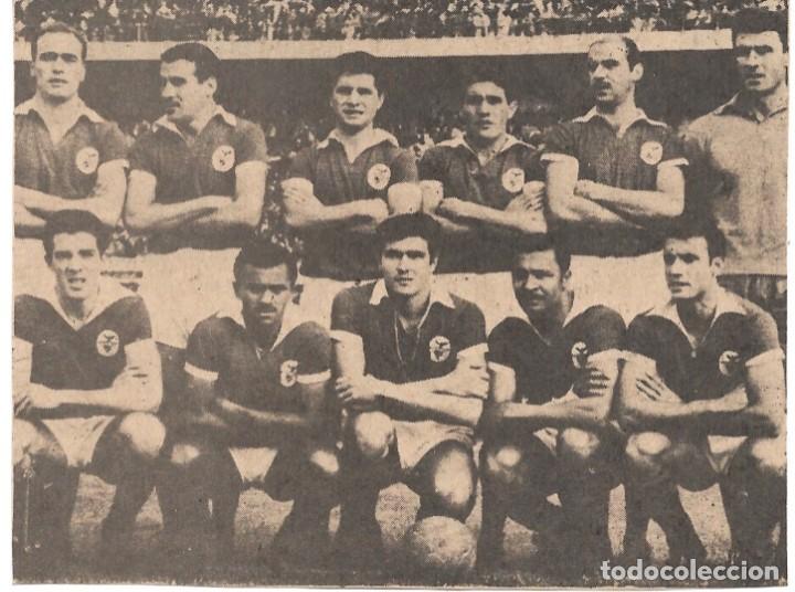 Sammelleidenschaft Sport: BENFICA DE LISBOA ( PORTUGAL ) : Recorte de un equipo de 1961