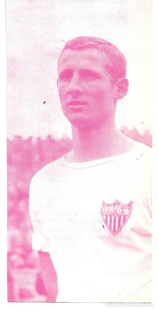 Coleccionismo deportivo: SEVILLA CF: Recorte de GALLEGO - Foto 1