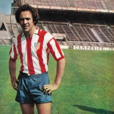 Coleccionismo deportivo: ATLÉTICO DE MADRID: PÓSTER DE SENA. 1975