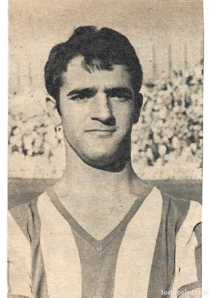 Coleccionismo deportivo: C&Oacute;RDOBA CF: Recorte de CRUZ CARRASCOSA. 1971