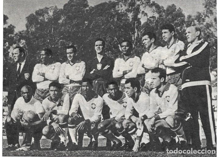 Sports collectibles: SELECCI&Oacute;N DE F&Uacute;TBOL DE BRASIL: Recorte de un equipo de 1962