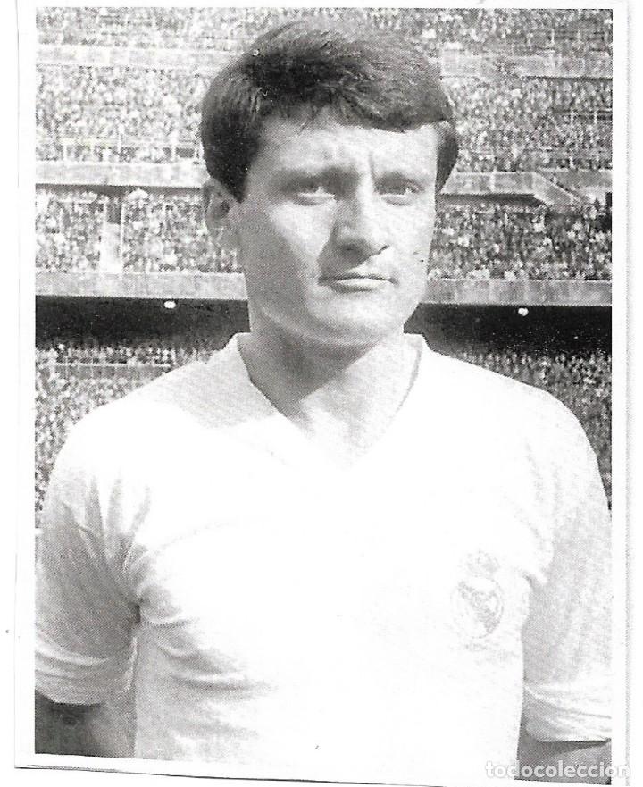 Coleccionismo deportivo: REAL MADRID: Recorte de Fernando ZUNZUNEGUI