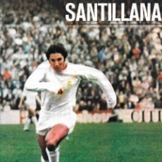 Coleccionismo deportivo: REAL MADRID: PÓSTER DE SANTILLANA. 1976