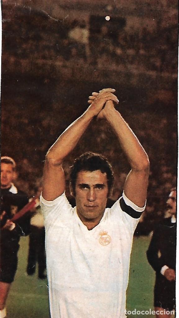 Collezionismo sportivo: REAL MADRID: Recorte de AMANCIO la noche de su partido de homenaje. 1976