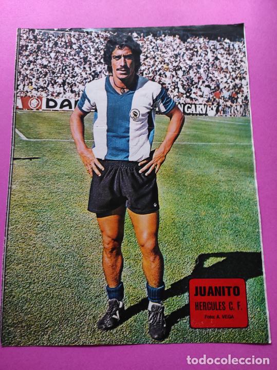 Coleccionismo deportivo: POSTER JUANITO HERCULES CF - REVISTA AS COLOR