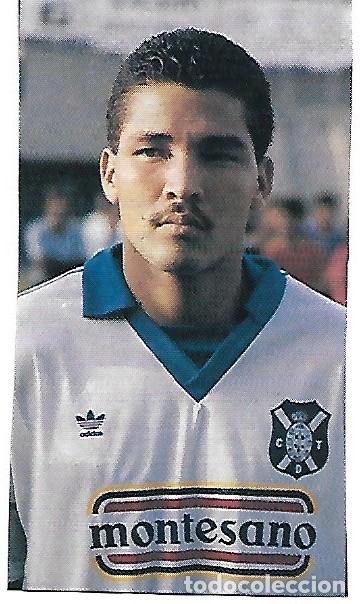 Coleccionismo deportivo: CD.TENERIFE: Recorte de ROMMEL FERN&Aacute;NDEZ. 1990