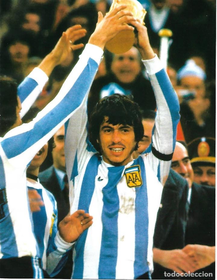Collectionnisme sportif: SELECCI&Oacute;N DE F&Uacute;TBOL DE ARGENTINA: L&aacute;mina de PASSARELLA