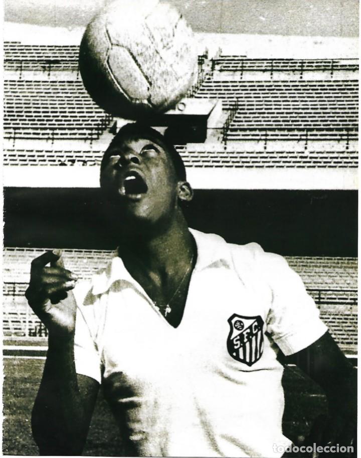 Collectionnisme sportif: SANTOS FC: L&aacute;mina de PEL&Eacute;