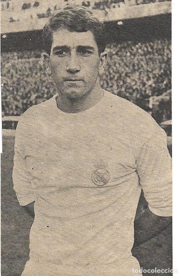 Collezionismo sportivo: REAL MADRID: Recorte de VEL&Aacute;ZQUEZ