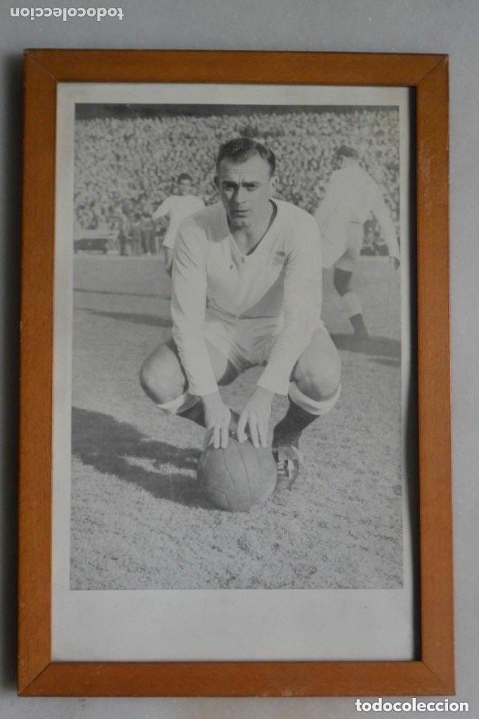 Coleccionismo deportivo: CUADRO ENMARCADO DEL FUTBOLISTA ALFREDO DI STEFANO REAL MADRID. A&Ntilde;OS 50