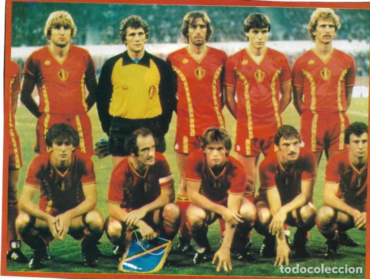 Collezionismo sportivo: SELECCI&Oacute;N DE F&Uacute;TBOL DE B&Eacute;LGICA: Recorte de un equipo de 1982