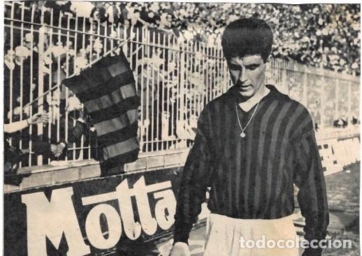 Coleccionismo deportivo: AC MILAN: Recorte de Gianni RIVERA. 1965