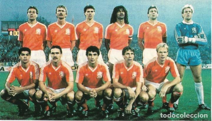 Collectionnisme sportif: SELECCI&Oacute;N DE F&Uacute;TBOL DE LOS PAISES BAJOS: Recorte de un equipo de 1990