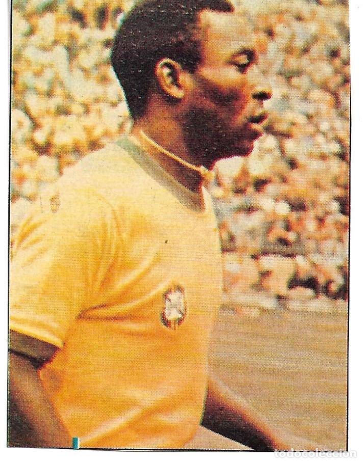Collectionnisme sportif: SELECCI&Oacute;N DE F&Uacute;TBOL DE BRASIL: Recorte de PEL&Eacute;.