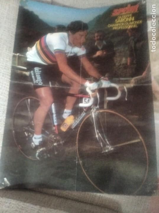 Collectionnisme sportif: Poster saronni