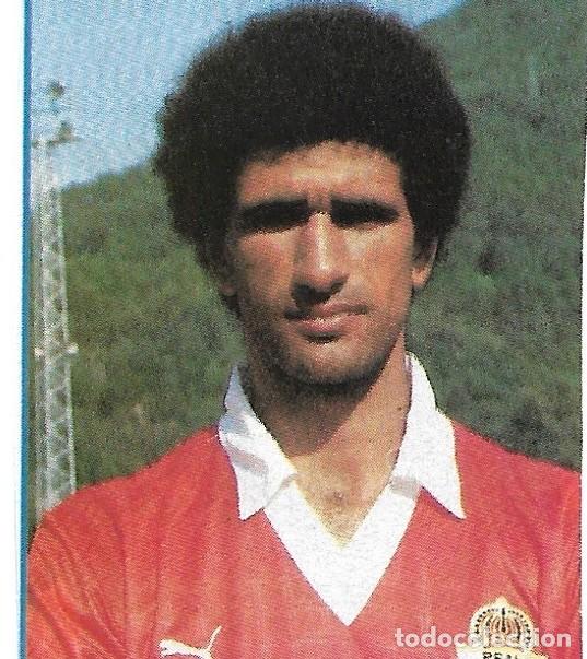 Coleccionismo deportivo: REAL MURCIA: Recorte de SIERRA. 1990