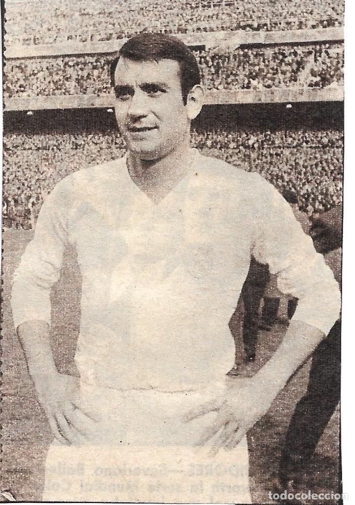 Coleccionismo deportivo: REAL MADRID: Recorte de Vicente MIERA
