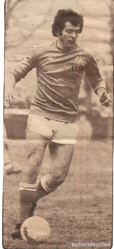 Coleccionismo deportivo: SELECCI&Oacute;N DE F&Uacute;TBOL DE FRANCIA: Gran recorte de Michel PLATINI. 1978