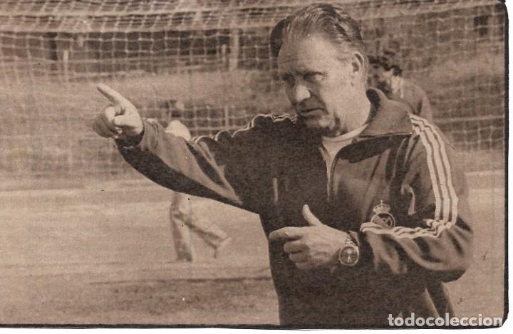 Coleccionismo deportivo: REAL MADRID: Recorte de t&eacute;cnico Lu&iacute;s MOLOWNY. 1978