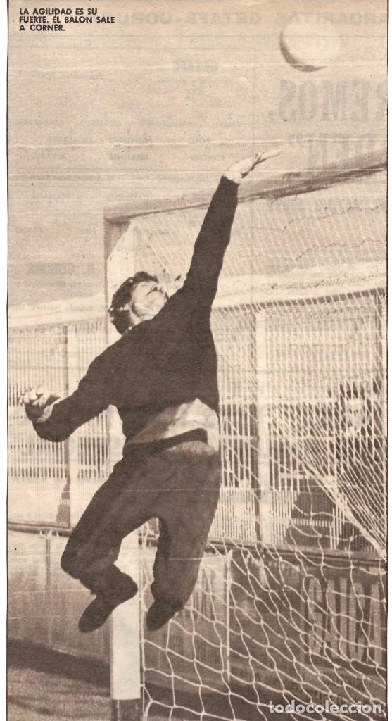 Coleccionismo deportivo: REAL MADRID: Gran recorte de MIGUEL &Aacute;NGEL en un entrenamiento. 1977