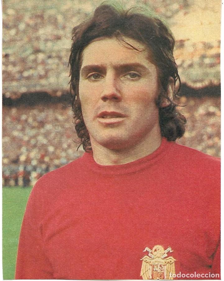 Coleccionismo deportivo: SELECCI&Oacute;N ESPA&Ntilde;OLA DE F&Uacute;TBOL: Gran recorte de SANTILLANA
