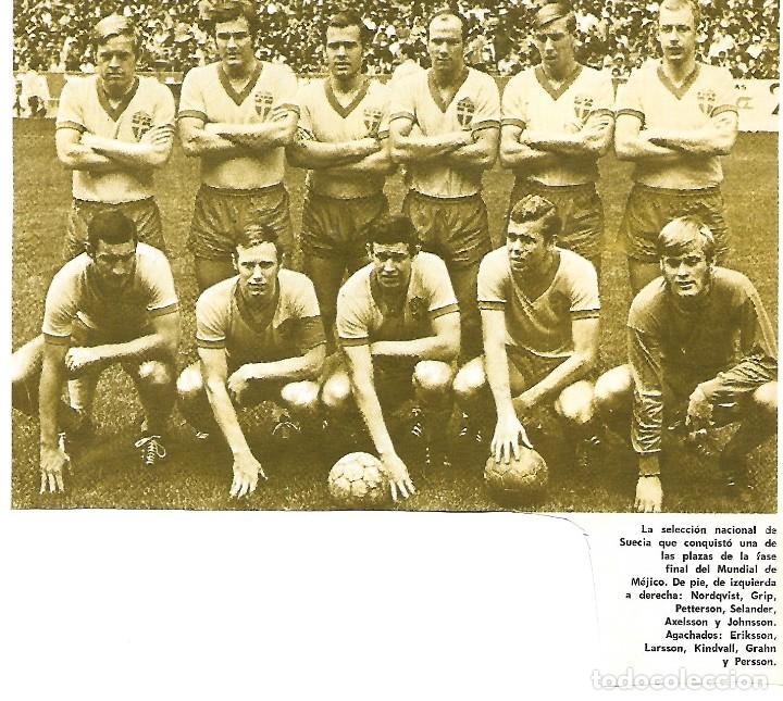 Coleccionismo deportivo: Selecci&oacute;n de F&uacute;tbol de SUECIA: Recorte de un equipo de 1970