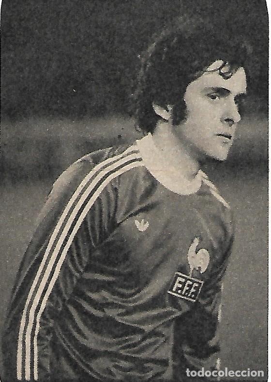 Collezionismo sportivo: SELECCI&Oacute;N DE F&Uacute;TBOL DE FRANCIA: Recorte de Michel PLATINI. 1981