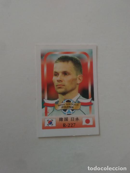 Coleccionismo deportivo: 227 TOMASZ WALDOCH SELECCI&Oacute;N POLONIA STICKER CROMO FUTBOL MUNDIAL 2002 WORLD CUP 02 REYAUCA
