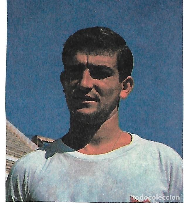 Coleccionismo deportivo: SEVILLA CF: Recorte de POLO. 1968 - Foto 1