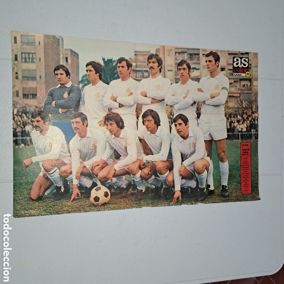 Sammelleidenschaft Sport: CULTURAL LEONESA - TEMP. 1974/75 - POSTER AS COLOR