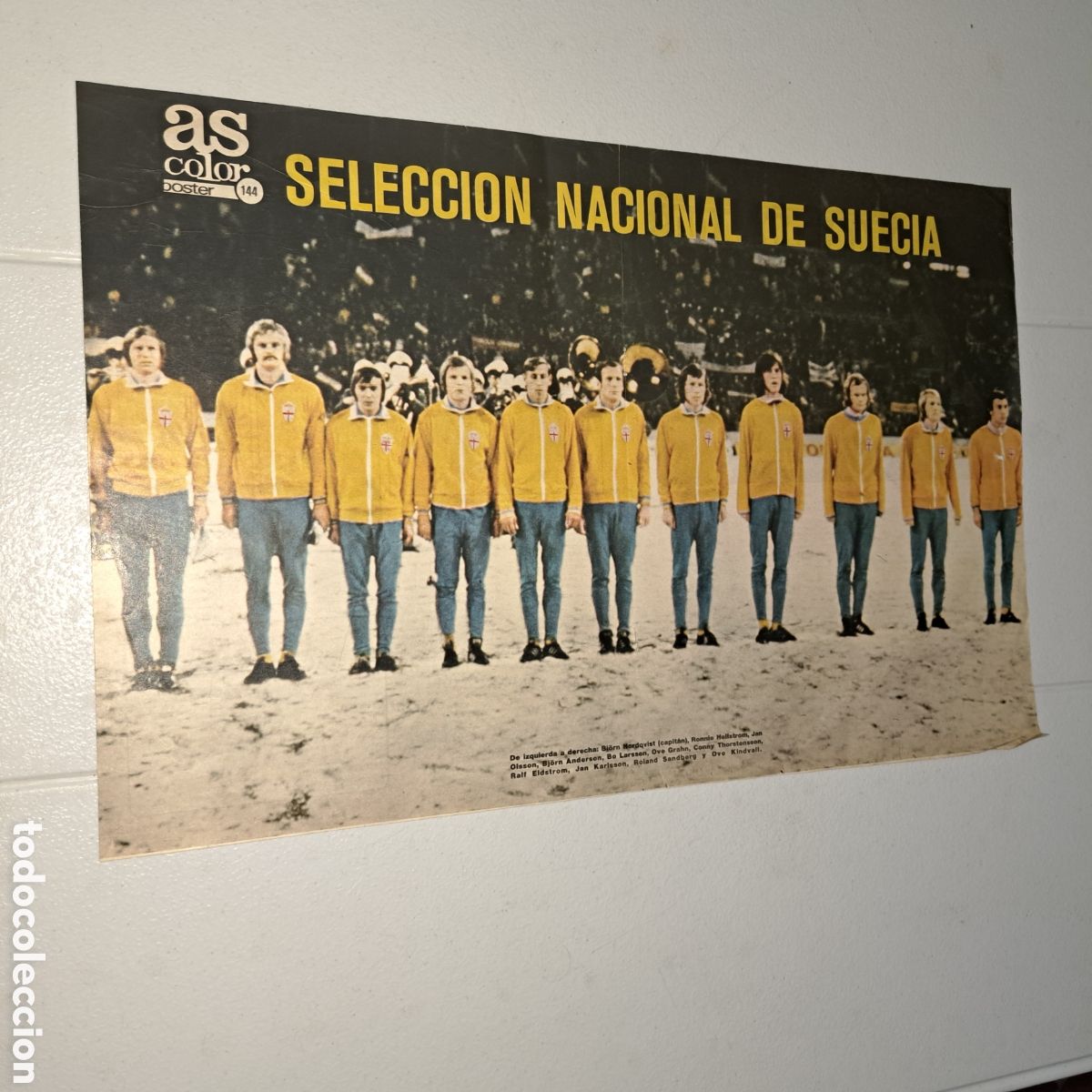 Collezionismo sportivo: SELECCI&Oacute;N NACIONAL DE SUECIA - A&Ntilde;O 1974 - POSTER AS COLOR