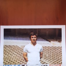 Coleccionismo deportivo: JUANITO POSTER REAL MADRID EQUIPO DE FÚTBOL