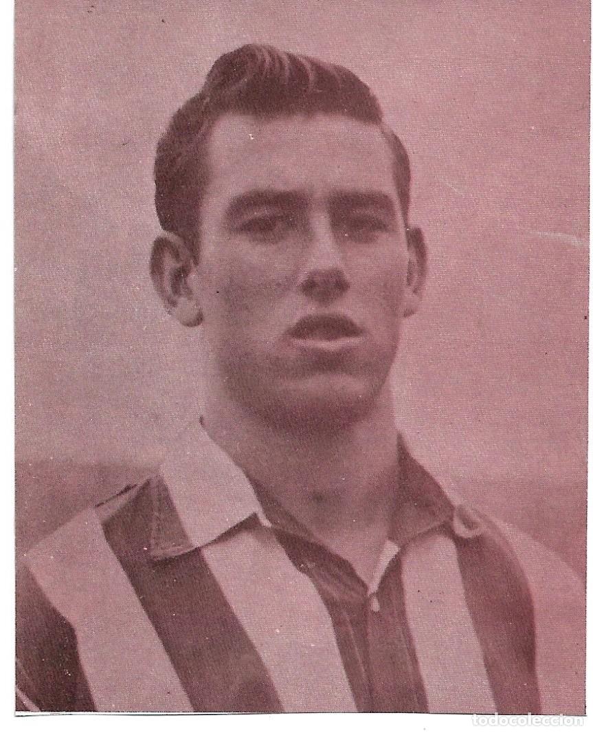 Coleccionismo deportivo: ATL&Eacute;TICO DE MADRID: Recorte de ADELARDO - Foto 1