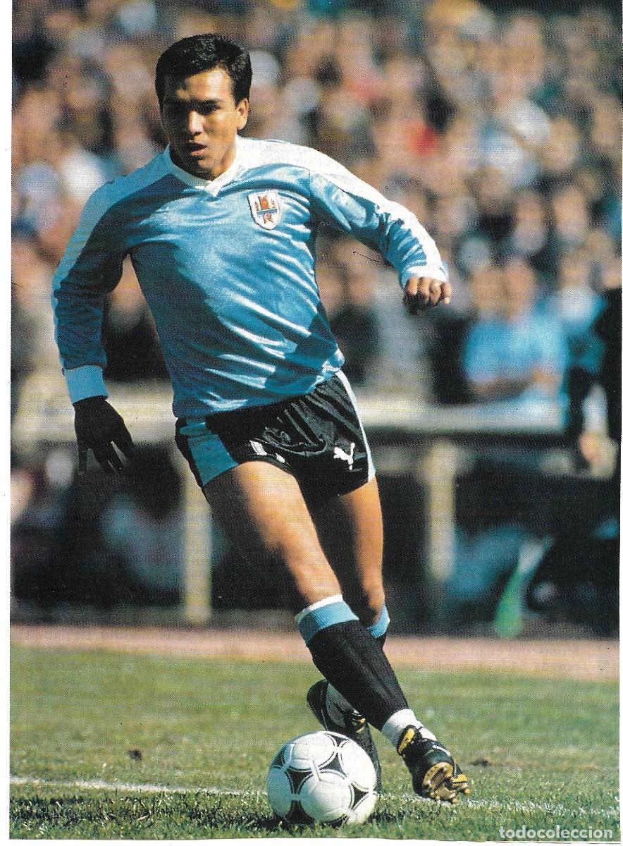 Collectionnisme sportif: SELECCI&Oacute;N DE F&Uacute;TBOL DE URUGUAY: Gran recorte de RUB&Eacute;N SOSA. 1990