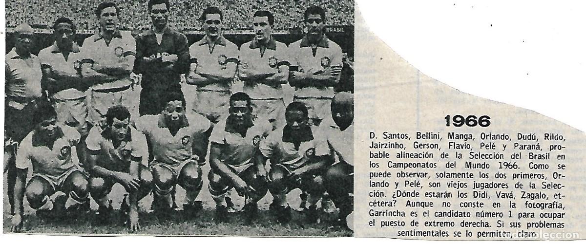 Collectionnisme sportif: SELECCI&Oacute;N DE F&Uacute;TBOL DE BRASIL: Recorte de un equipo de 1966, Mundial de Inglaterra.
