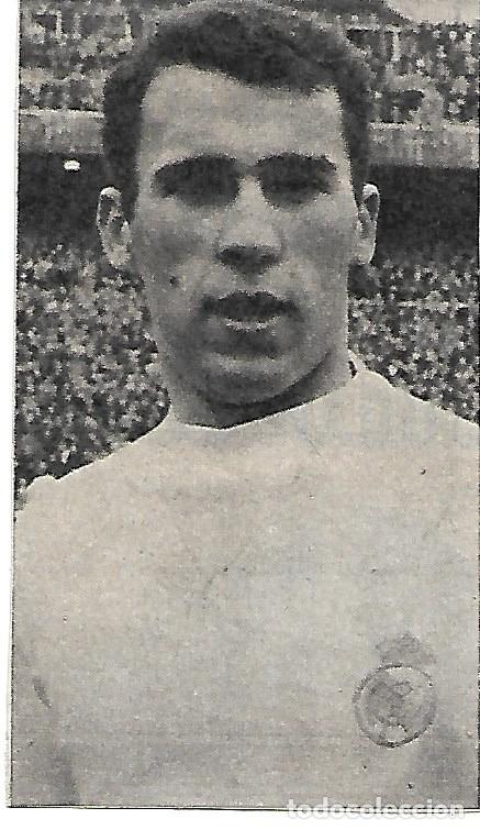 Coleccionismo deportivo: REAL MADRID: Recorte de AMANCIO - Foto 1