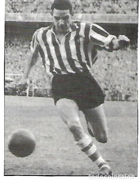 Coleccionismo deportivo: ATHLETICDE BILBAO: Recorte de GARAY - Foto 1