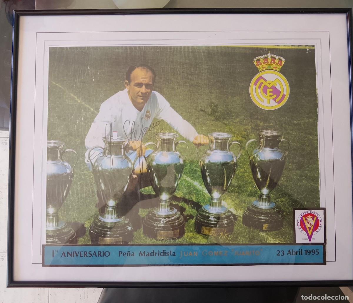 Coleccionismo deportivo: Alfredo di St&eacute;fano. Fotograf&iacute;a FIRMADA.