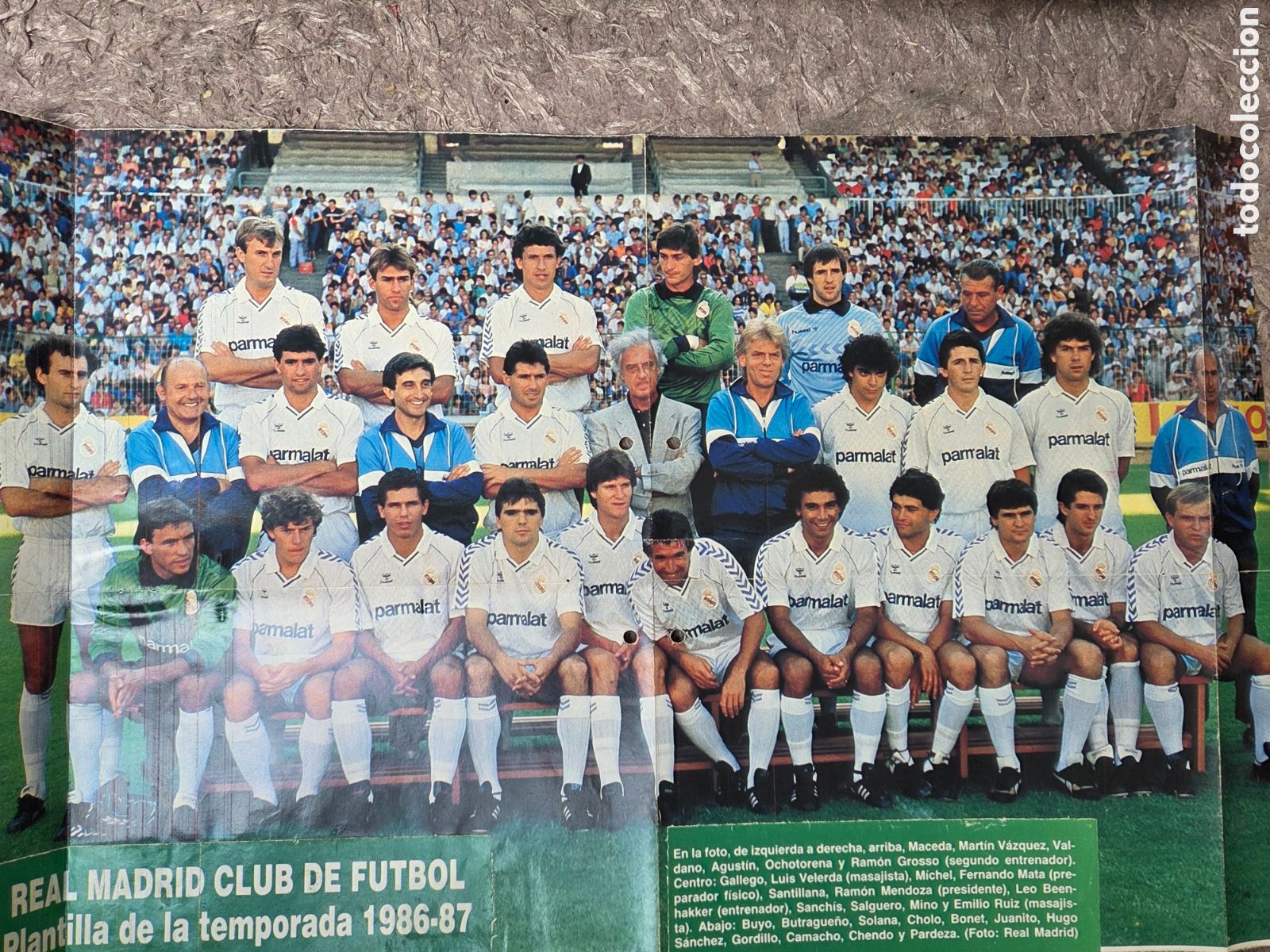 Sports collectibles: P&Oacute;STER REAL MADRID Temporada 1986-87