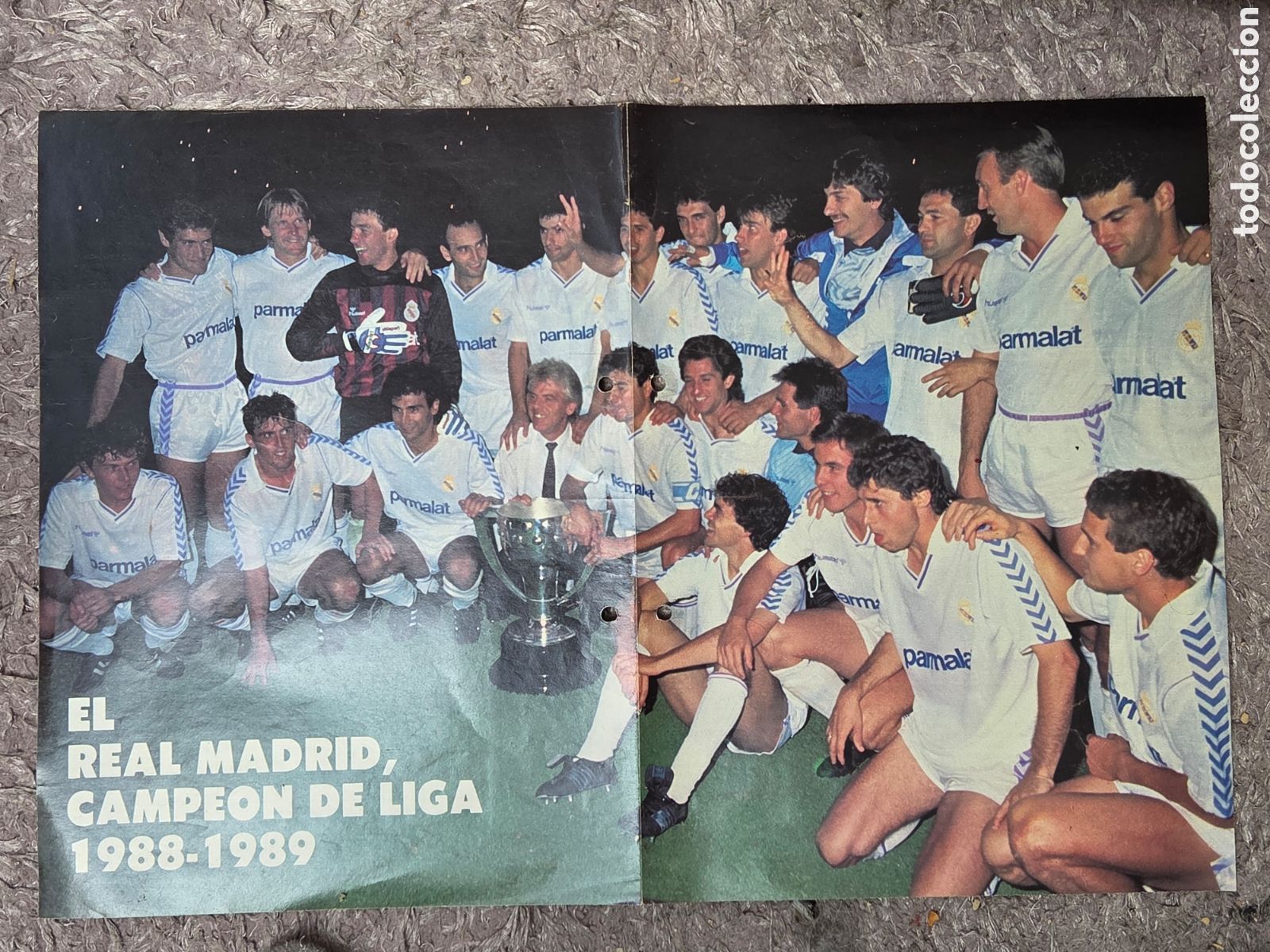 Sports collectibles: Poster REAL MADRID CAMPE&Oacute;N LIGA 1988-89
