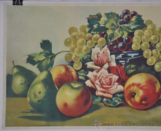 Carteles: L&aacute;mina antigua de bodeg&oacute;n de frutas. - Foto 3